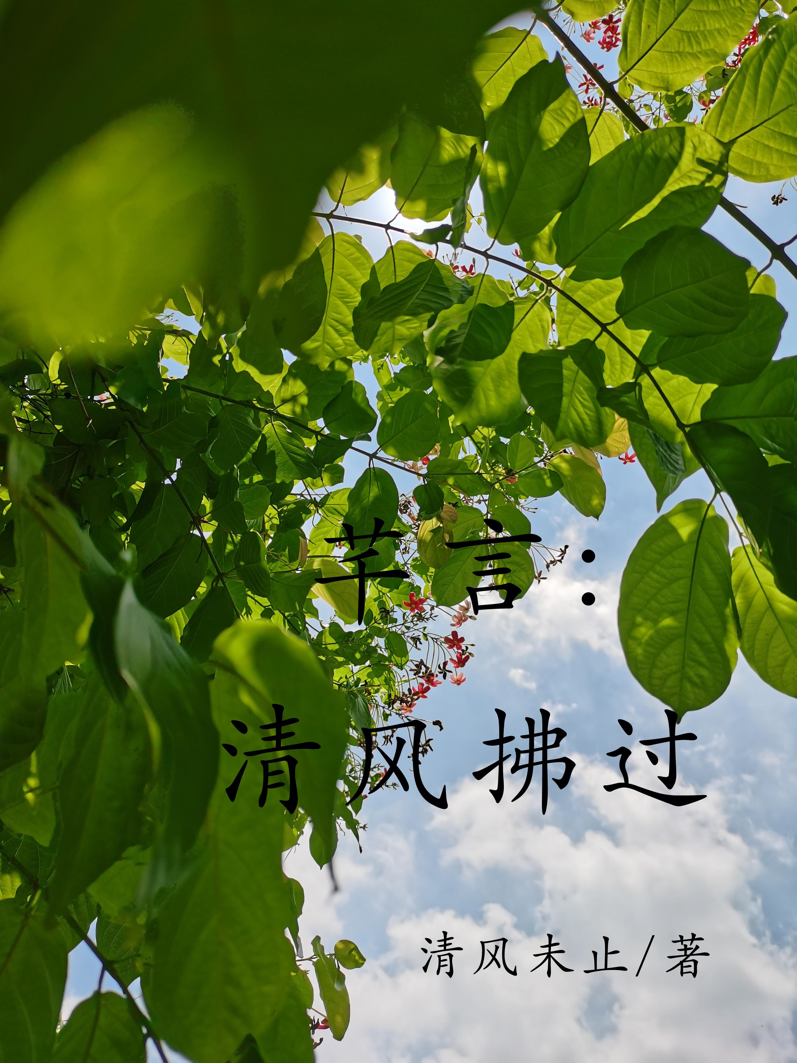 芊言：清風拂過